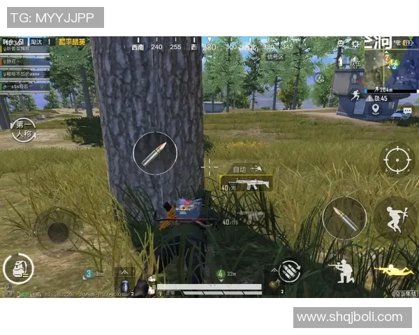 最新和平精英比赛经验分享TOP10FPX战队表现卓越引领潮流