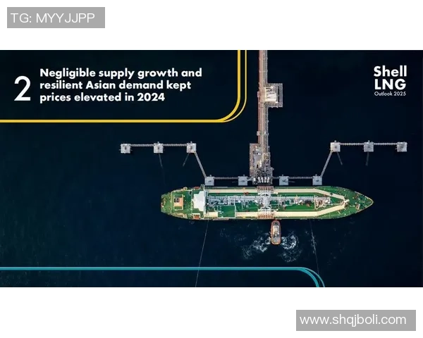 数据分析视角下LNG市场状态的全面表现与未来趋势探讨